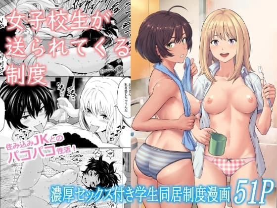 女子校生が送られてくる制度 cover