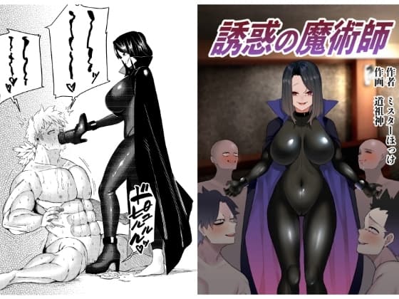誘惑の魔術師 cover