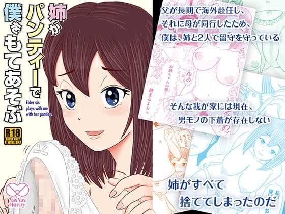 姉がパンティーで僕をもてあそぶ cover
