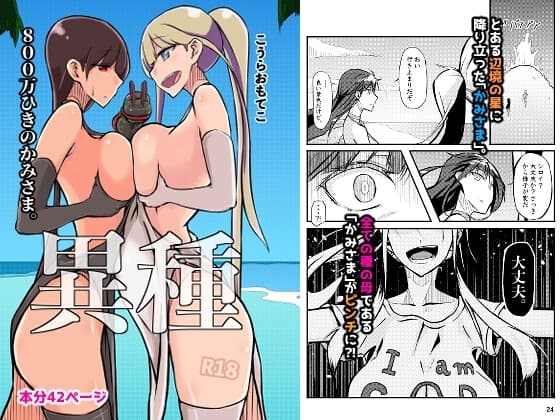 800万ひきのかみさま。 cover