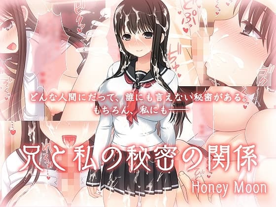 兄と私の秘密の関係 cover