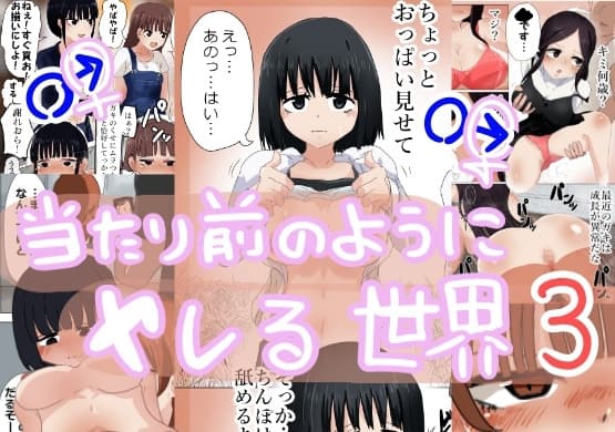 当たり前のようにヤレる世界3 cover
