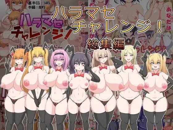 ハラマセチャレンジ!総集編 cover