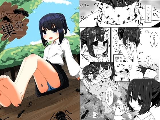 蟻の巣 cover