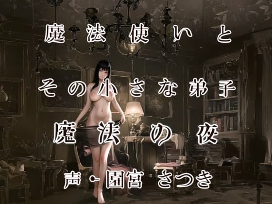 魔法使いとその小さな弟子 魔法の夜 cover