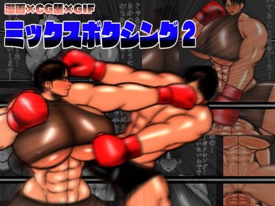 ミックスボクシング2 cover