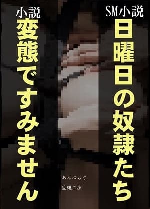 日曜日の奴○たち/変態ですみません cover