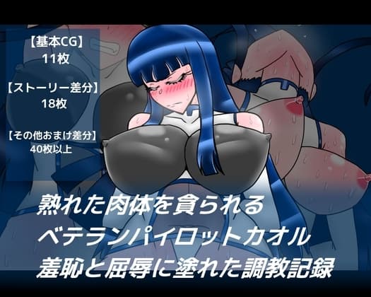 熟れた肉体を貪られるベテランパイロットカオル羞恥と屈辱に塗れた調教記録 cover