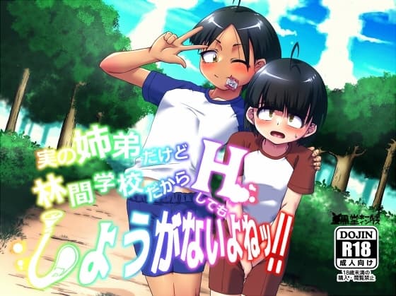 実の姉弟だけど林間学校だからHしてもしょうがないよねッ!! cover