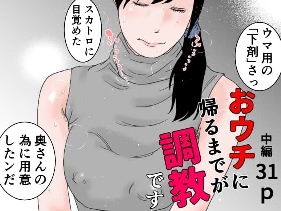 おウチに帰るまでが調教です 中編 cover