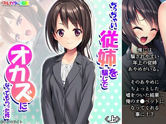 ちっちゃい従姉を騙してオカズになってもらった件 上 cover