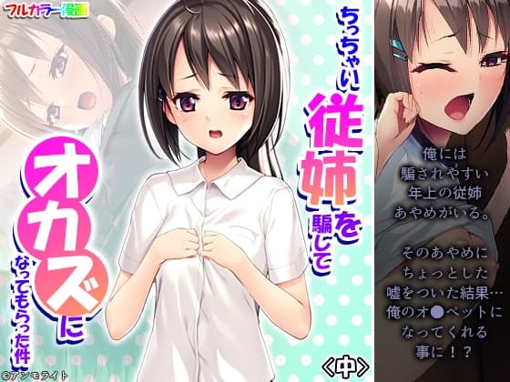ちっちゃい従姉を騙してオカズになってもらった件 中 cover