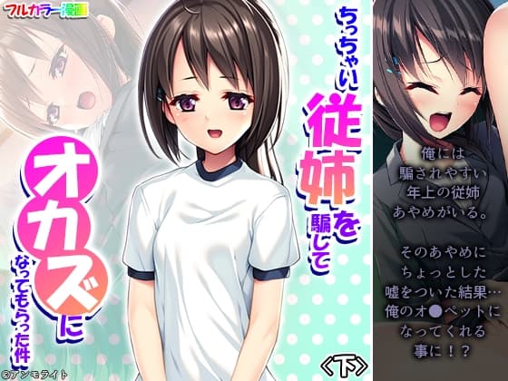 ちっちゃい従姉を騙してオカズになってもらった件 下 cover