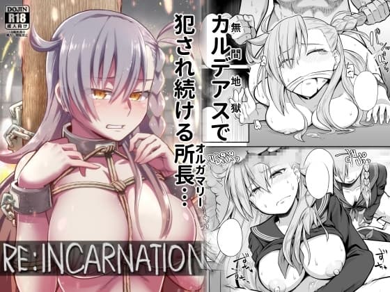 RE:INCARNATION cover