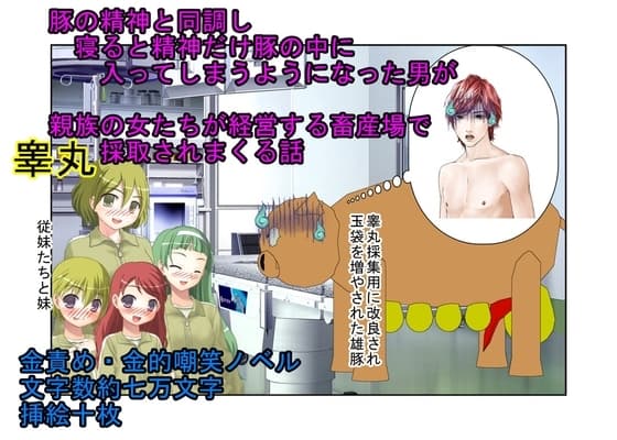 『金責め悪夢豚男』今夜も俺は睾丸家畜……テレパシーで睾丸採取用の豚に精神だけ入ってしまった男が身内の女たちに寝るたびに金責め去勢されまくる体験をする話 cover