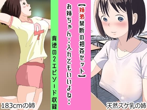 【姉弟禁断の相姦セット】お姉ちゃん・・入れてもいいよね・・ cover