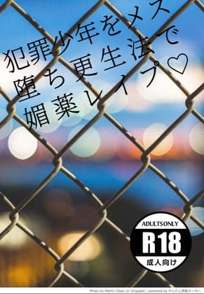 犯罪少年をメス堕ち更生法で媚薬レ○プ cover