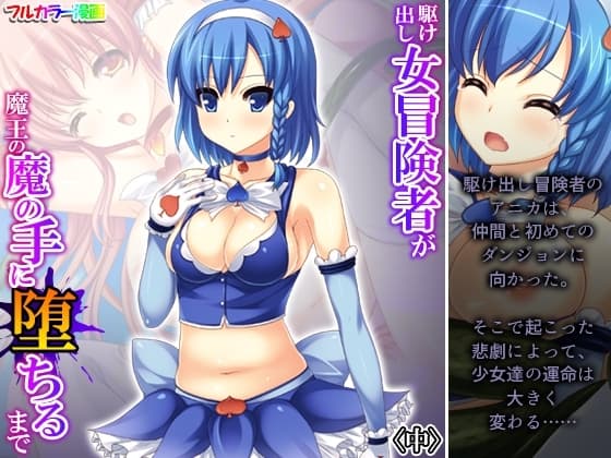 駆け出し女冒険者が魔王の魔の手に堕ちるまで 中 cover