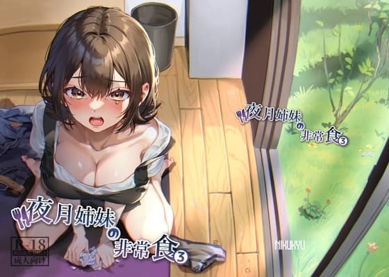 夜月姉妹の非常食3 cover