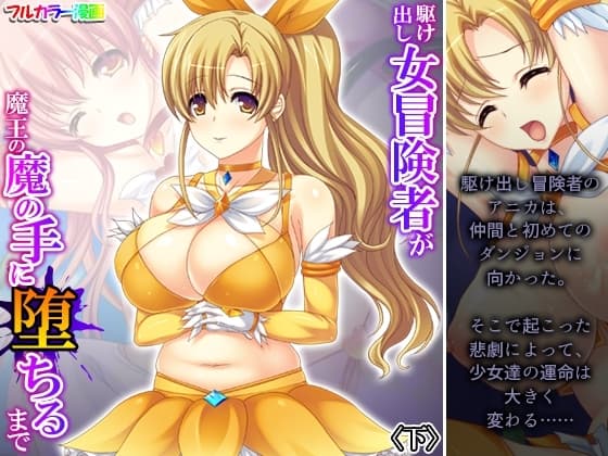 駆け出し女冒険者が魔王の魔の手に堕ちるまで 下 cover