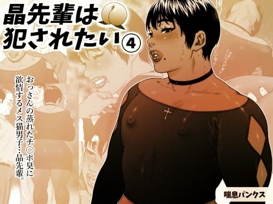 晶先輩は犯されたい4 cover