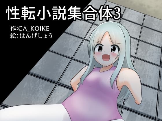 性転小説 集合体3 cover