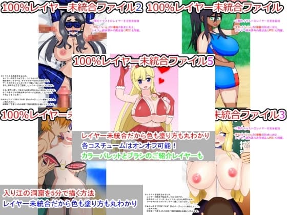 100%レイヤー未統合ファイル 総集編 cover