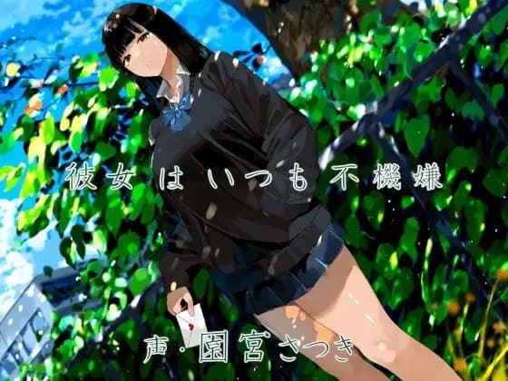 彼女はいつも不機嫌 cover