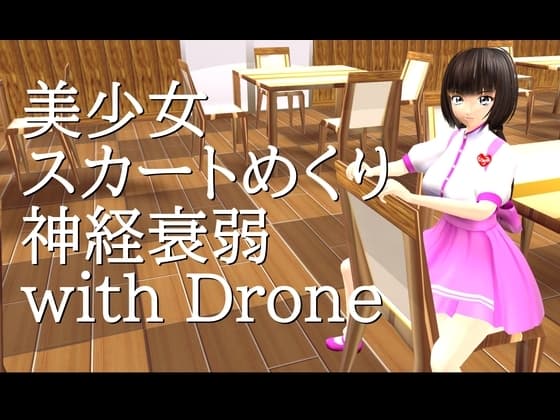 美少女スカートめくり神経衰弱 with Drone cover