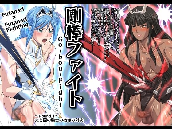 剛棒ファイト～Round.1～光と闇の騎士の宿命の対決 cover