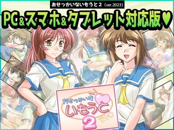 おせっかいないもうと2 PC&スマホ&タブレット対応版 cover