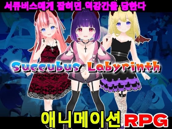 Succubus Labyrinth【한국어판】 cover