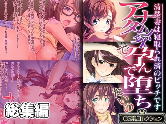 アナタ以外で孕んで堕ちたいの ～清楚妻は寝取られ済のビッチです～【CG集コレクション】 cover
