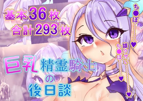 巨乳精霊騎士の後日談 cover