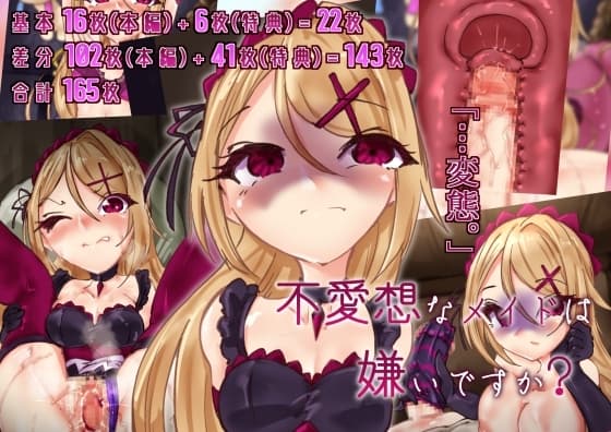 不愛想なメイドは嫌いですか? cover