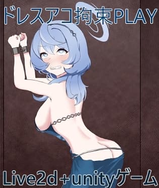 ドレスアコ拘束PLAY cover