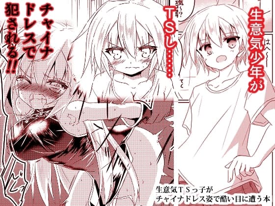 生意気TSっ子がチャイナドレス姿で酷い目に遭う本 cover