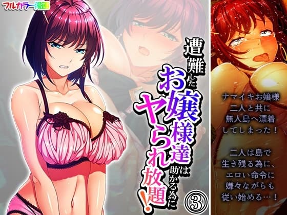 遭難したお嬢様達は助かる為にヤられ放題! 3巻 cover