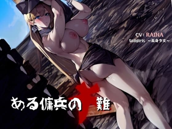 ある傭兵の大難 cover