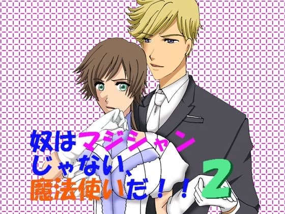 奴はマジシャンじゃない、魔法使いだ!!2 cover