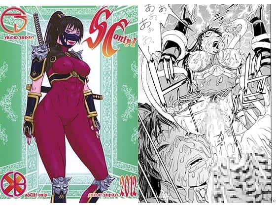 SCO-Ⅱ cover