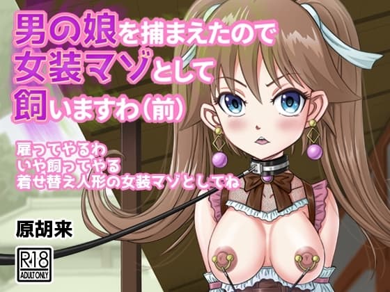 男の娘を捕まえたので女装マゾとして飼いますわ(前) cover