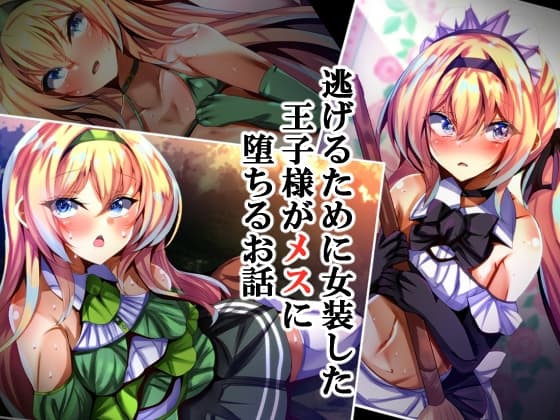 逃げるために女装した王子様がメスに堕ちるお話 cover