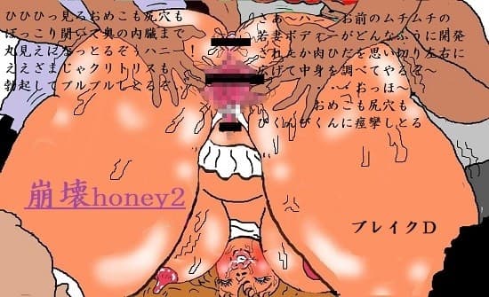 崩壊honey2 cover