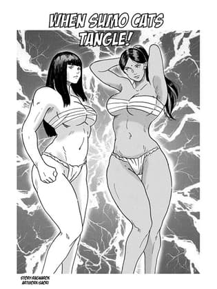 When Sumo Cats Tangle cover