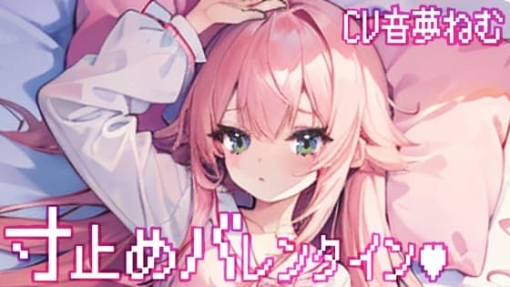 寸止めバレンタイン cover