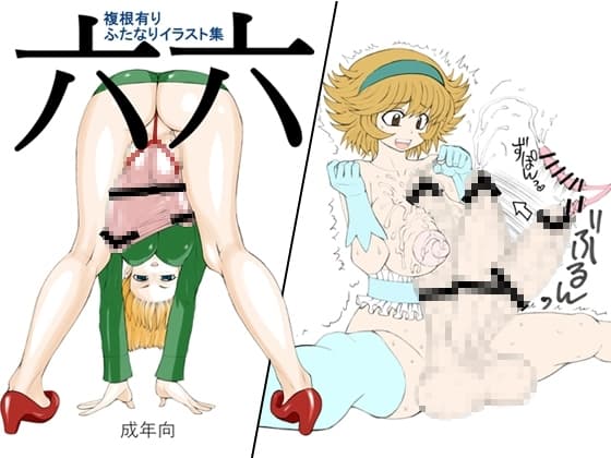 六六 cover