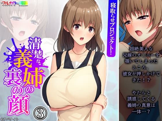 寝取らせプロジェクト!清楚な義姉の裏の顔 3巻 cover