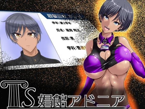 TS娼館アドニア cover