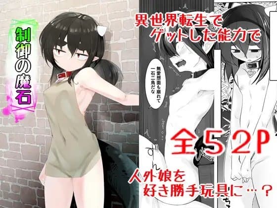 制御の魔石 cover